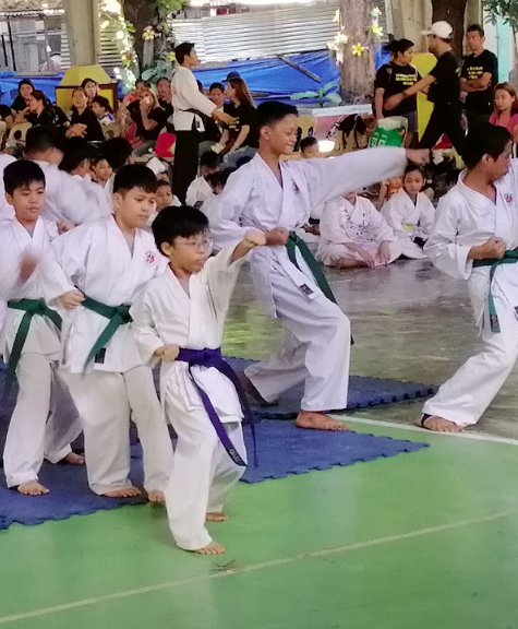 Self Defense Training