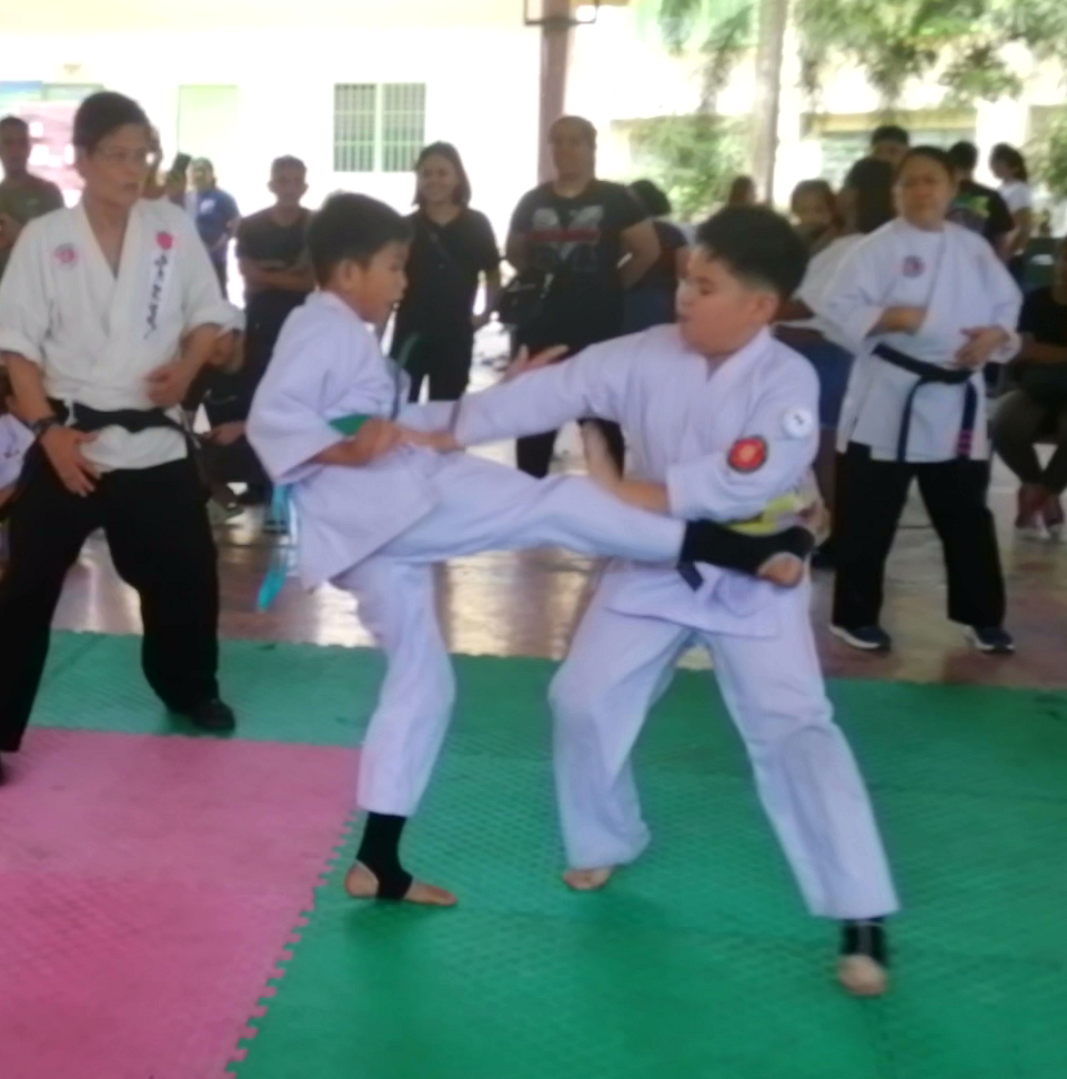 Self Defense Training